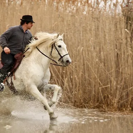 Mas Du Pont Rouge Nyaraló *