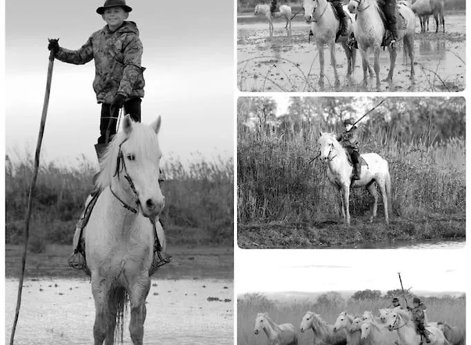 Mas Du Pont Rouge * Sylvéréal